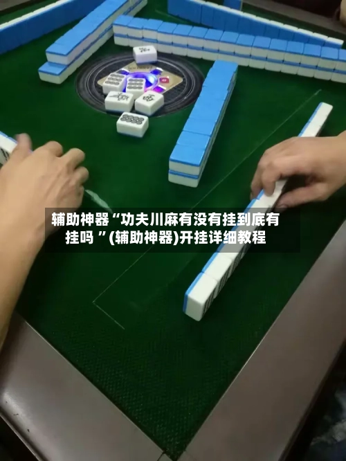 辅助神器“功夫川麻有没有挂到底有挂吗 ”(辅助神器)开挂详细教程