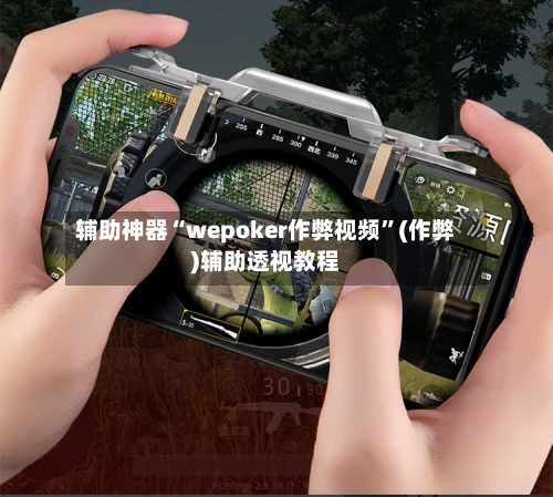辅助神器“wepoker作弊视频	”(作弊)辅助透视教程-第2张图片