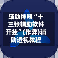 辅助神器“十三张辅助软件开挂	”(作弊)辅助透视教程-第1张图片