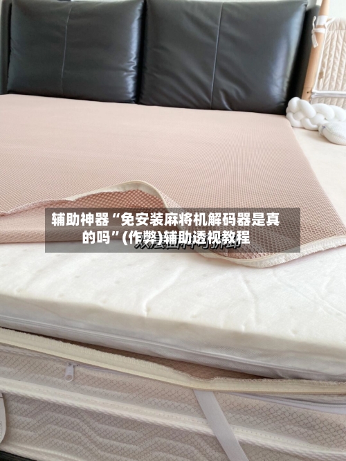 辅助神器“免安装麻将机解码器是真的吗”(作弊)辅助透视教程-第2张图片