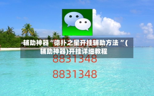 辅助神器“德扑之星开挂辅助方法 ”(辅助神器)开挂详细教程-第3张图片