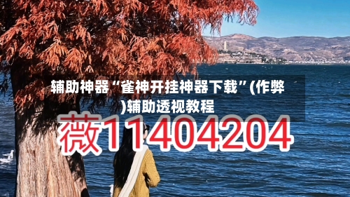 辅助神器“雀神开挂神器下载”(作弊)辅助透视教程