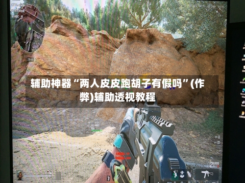 辅助神器“两人皮皮跑胡子有假吗”(作弊)辅助透视教程-第2张图片