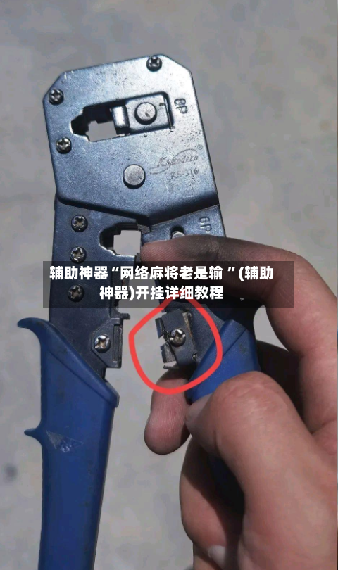 辅助神器“网络麻将老是输 ”(辅助神器)开挂详细教程-第2张图片