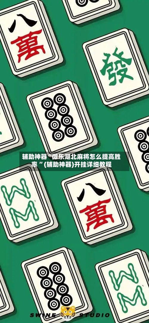 辅助神器“微乐湖北麻将怎么提高胜率 	”(辅助神器)开挂详细教程-第2张图片