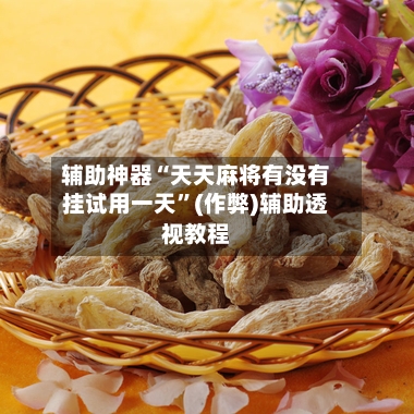 辅助神器“天天麻将有没有挂试用一天”(作弊)辅助透视教程-第3张图片