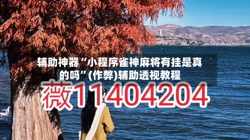 辅助神器“小程序雀神麻将有挂是真的吗	”(作弊)辅助透视教程-第2张图片