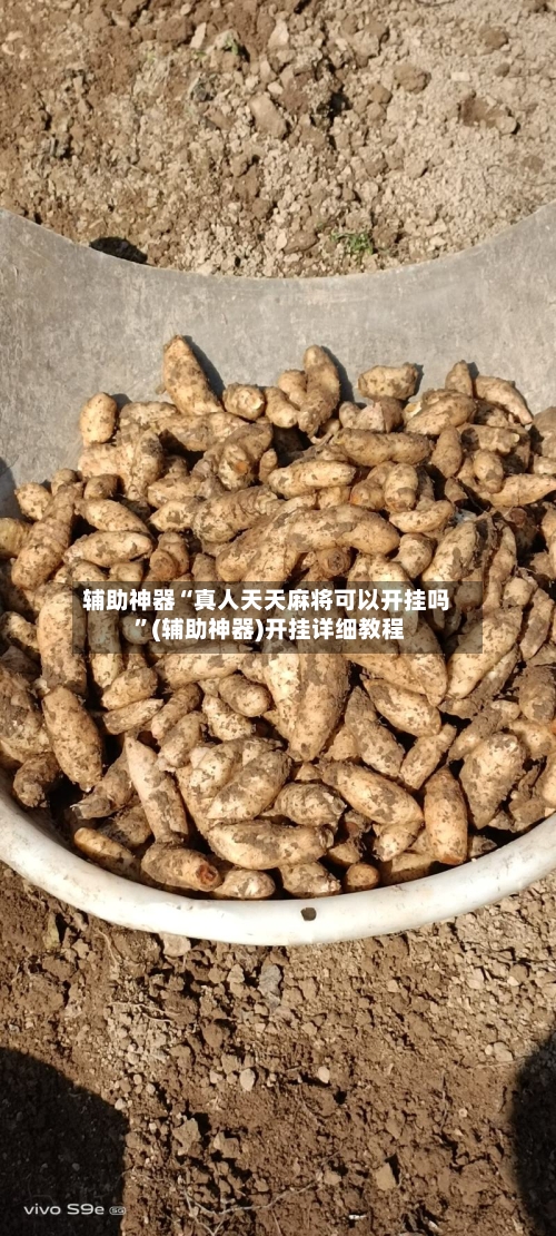 辅助神器“真人天天麻将可以开挂吗 	”(辅助神器)开挂详细教程-第2张图片