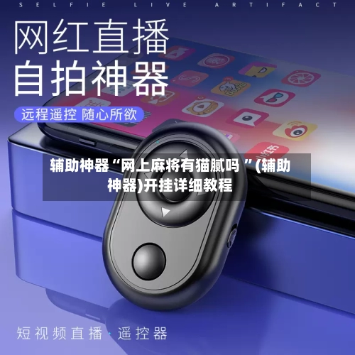 辅助神器“网上麻将有猫腻吗 ”(辅助神器)开挂详细教程