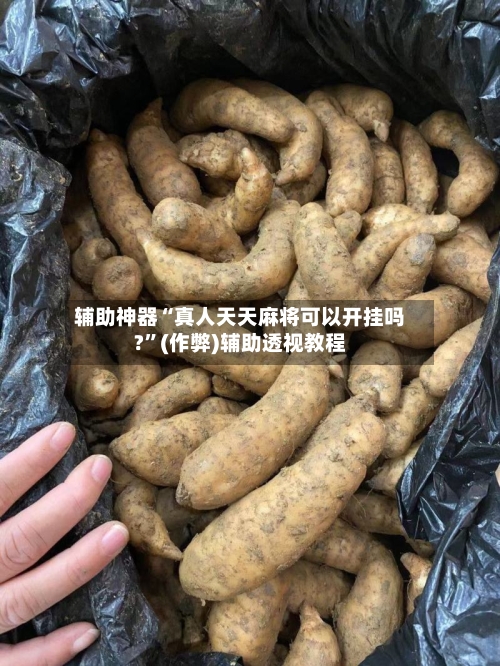 辅助神器“真人天天麻将可以开挂吗?”(作弊)辅助透视教程