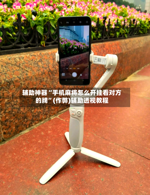 辅助神器“手机麻将怎么开挂看对方的牌”(作弊)辅助透视教程