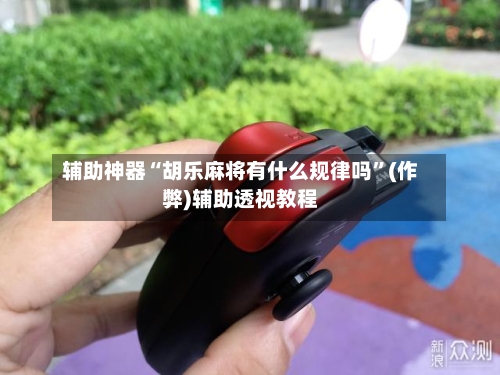 辅助神器“胡乐麻将有什么规律吗”(作弊)辅助透视教程