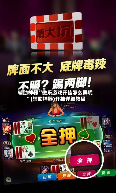 辅助神器“微乐游戏开挂怎么弄呢 ”(辅助神器)开挂详细教程-第2张图片