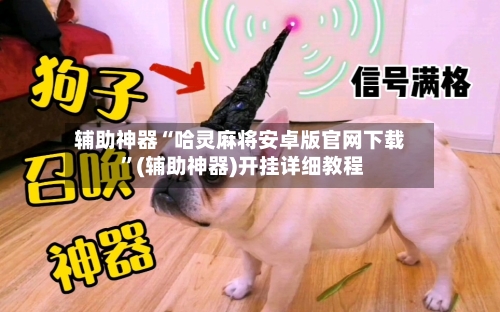 辅助神器“哈灵麻将安卓版官网下载 	”(辅助神器)开挂详细教程-第3张图片
