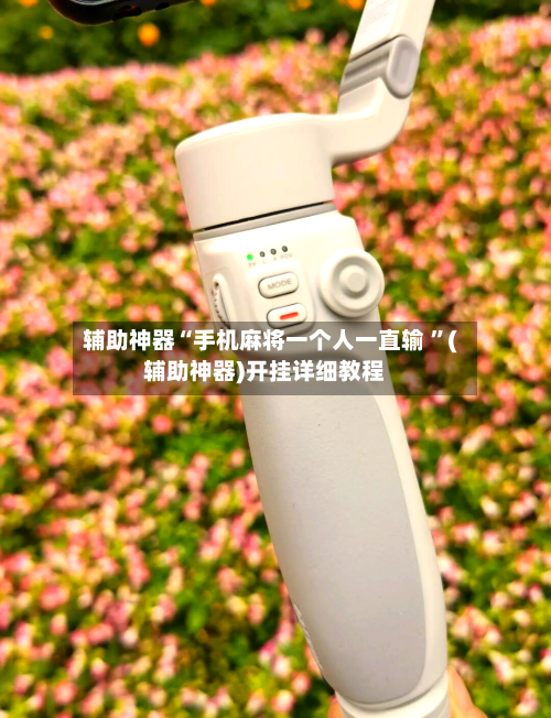 辅助神器“手机麻将一个人一直输 ”(辅助神器)开挂详细教程-第3张图片