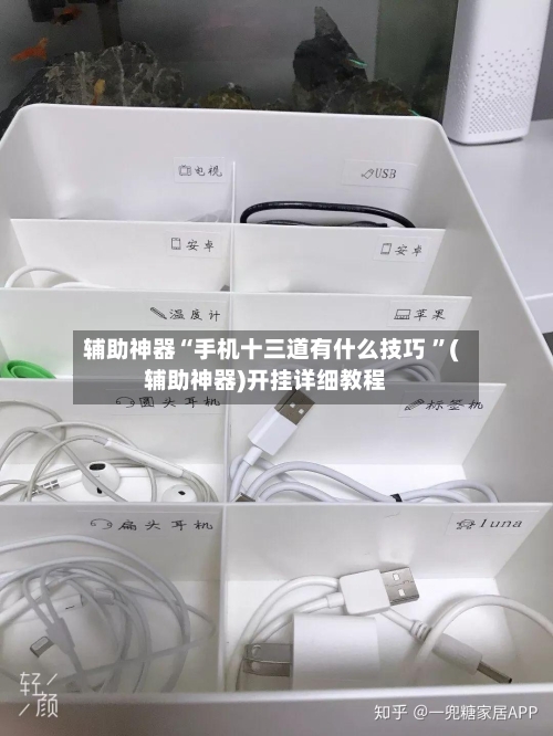 辅助神器“手机十三道有什么技巧 ”(辅助神器)开挂详细教程-第2张图片