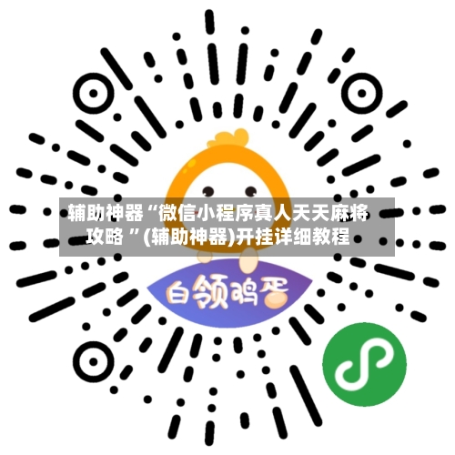 辅助神器“微信小程序真人天天麻将攻略 	”(辅助神器)开挂详细教程-第2张图片