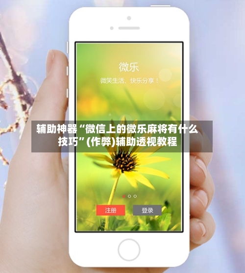 辅助神器“微信上的微乐麻将有什么技巧”(作弊)辅助透视教程-第2张图片
