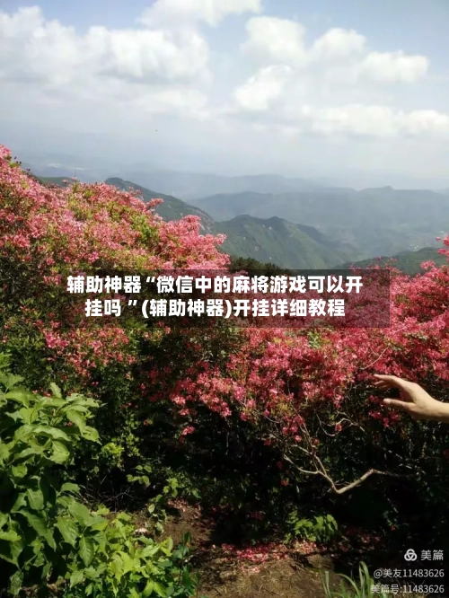 辅助神器“微信中的麻将游戏可以开挂吗 ”(辅助神器)开挂详细教程