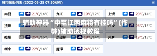 辅助神器“中至江西麻将有挂吗”(作弊)辅助透视教程-第2张图片