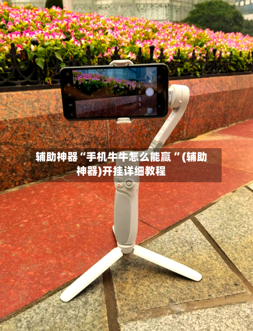 辅助神器“手机牛牛怎么能赢 ”(辅助神器)开挂详细教程-第2张图片