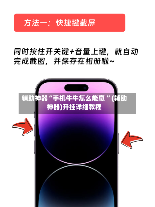 辅助神器“手机牛牛怎么能赢 ”(辅助神器)开挂详细教程-第3张图片