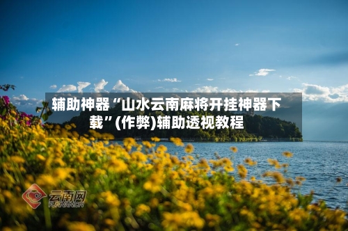 辅助神器“山水云南麻将开挂神器下载	”(作弊)辅助透视教程-第2张图片