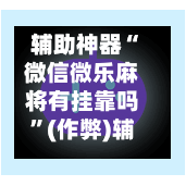 辅助神器“微信微乐麻将有挂靠吗”(作弊)辅助透视教程-第2张图片
