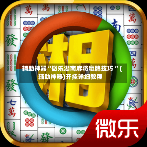 辅助神器“微乐湖南麻将赢牌技巧 ”(辅助神器)开挂详细教程-第2张图片
