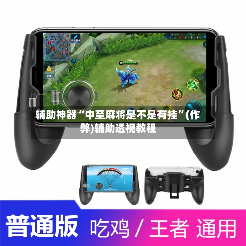 辅助神器“中至麻将是不是有挂”(作弊)辅助透视教程-第3张图片