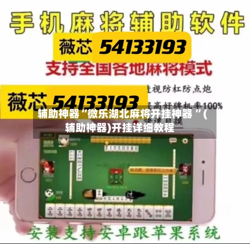 辅助神器“微乐湖北麻将开挂神器 ”(辅助神器)开挂详细教程
