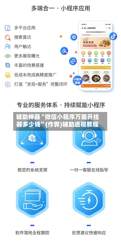 辅助神器“微信小程序万能开挂器多少钱”(作弊)辅助透视教程-第2张图片