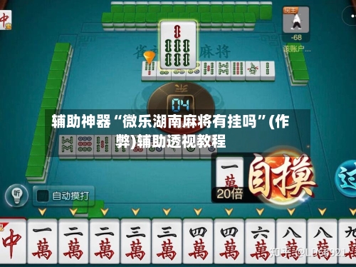 辅助神器“微乐湖南麻将有挂吗”(作弊)辅助透视教程