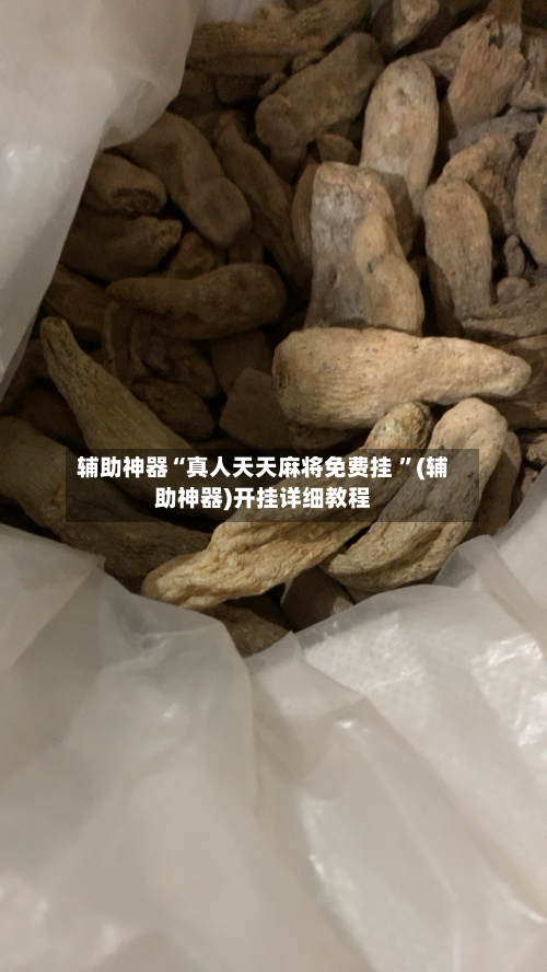 辅助神器“真人天天麻将免费挂 ”(辅助神器)开挂详细教程-第2张图片