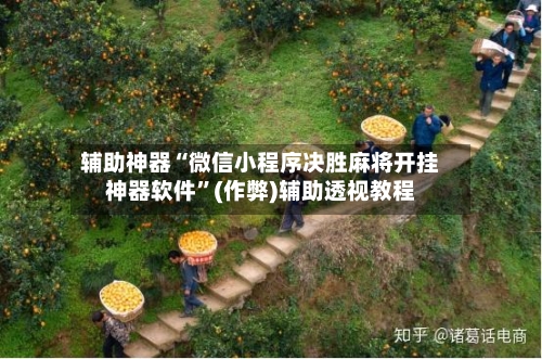辅助神器“微信小程序决胜麻将开挂神器软件”(作弊)辅助透视教程-第3张图片