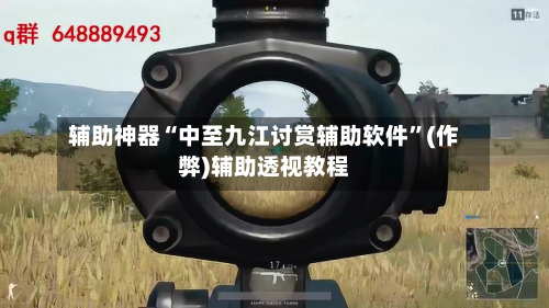 辅助神器“中至九江讨赏辅助软件”(作弊)辅助透视教程