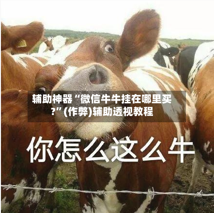 辅助神器“微信牛牛挂在哪里买?”(作弊)辅助透视教程-第2张图片