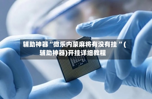辅助神器“微乐内蒙麻将有没有挂 	”(辅助神器)开挂详细教程-第3张图片