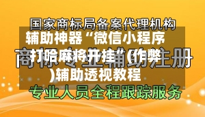 辅助神器“微信小程序打哈麻将开挂”(作弊)辅助透视教程-第2张图片