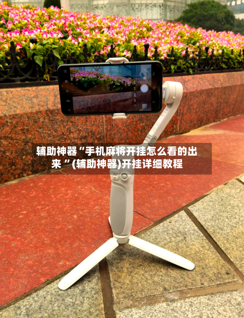 辅助神器“手机麻将开挂怎么看的出来 ”(辅助神器)开挂详细教程-第2张图片