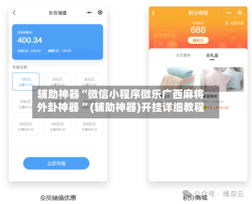 辅助神器“微信小程序微乐广西麻将外卦神器 ”(辅助神器)开挂详细教程-第2张图片
