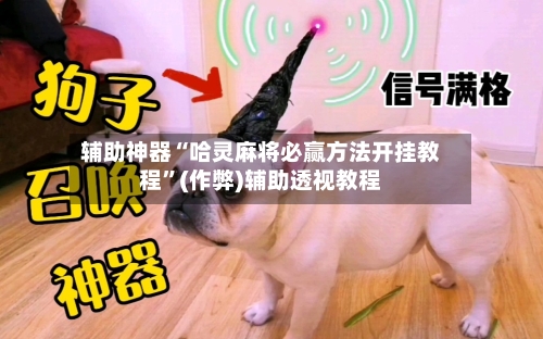 辅助神器“哈灵麻将必赢方法开挂教程”(作弊)辅助透视教程