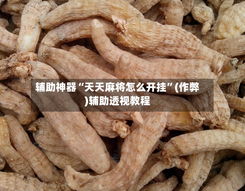 辅助神器“天天麻将怎么开挂”(作弊)辅助透视教程