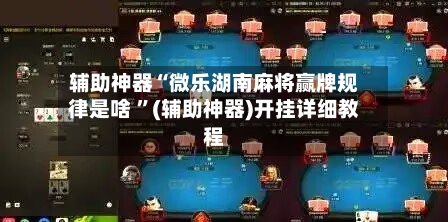 辅助神器“微乐湖南麻将赢牌规律是啥 	”(辅助神器)开挂详细教程-第3张图片