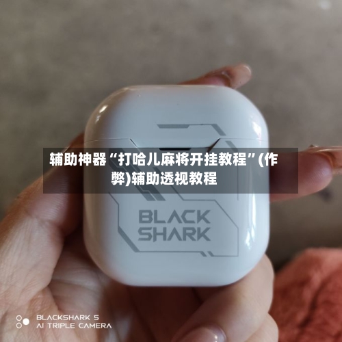 辅助神器“打哈儿麻将开挂教程”(作弊)辅助透视教程