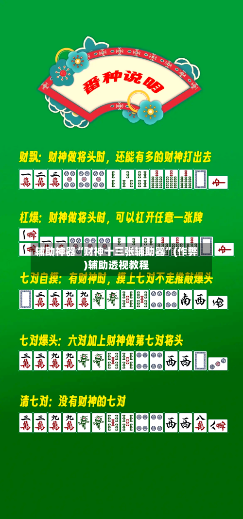 辅助神器“财神十三张辅助器”(作弊)辅助透视教程-第2张图片