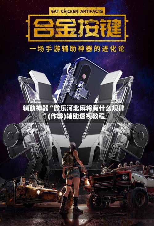 辅助神器“微乐河北麻将有什么规律”(作弊)辅助透视教程-第2张图片