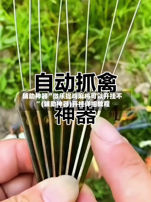 辅助神器“微乐捉鸡麻将可以开挂不 ”(辅助神器)开挂详细教程-第2张图片