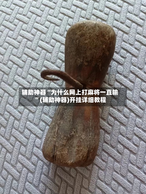 辅助神器“为什么网上打麻将一直输 ”(辅助神器)开挂详细教程-第2张图片