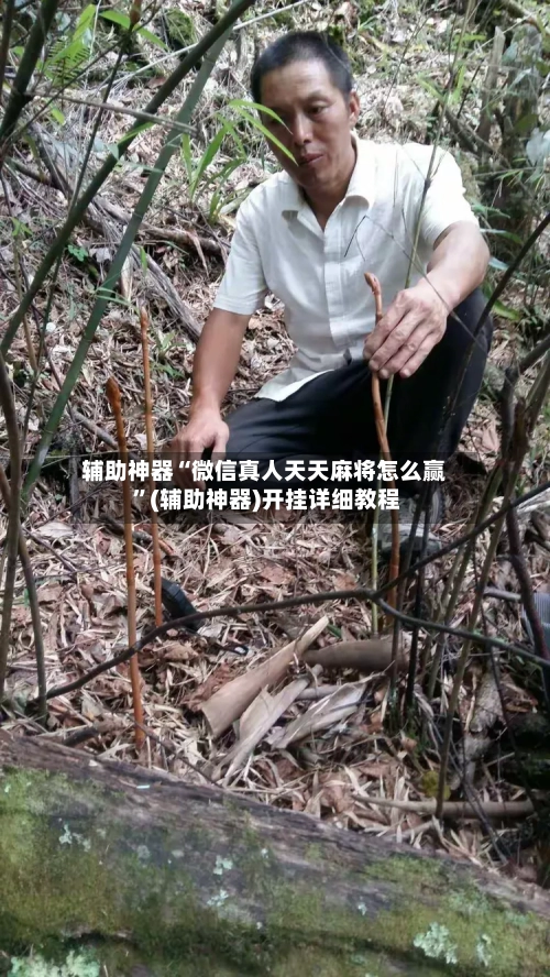辅助神器“微信真人天天麻将怎么赢 ”(辅助神器)开挂详细教程